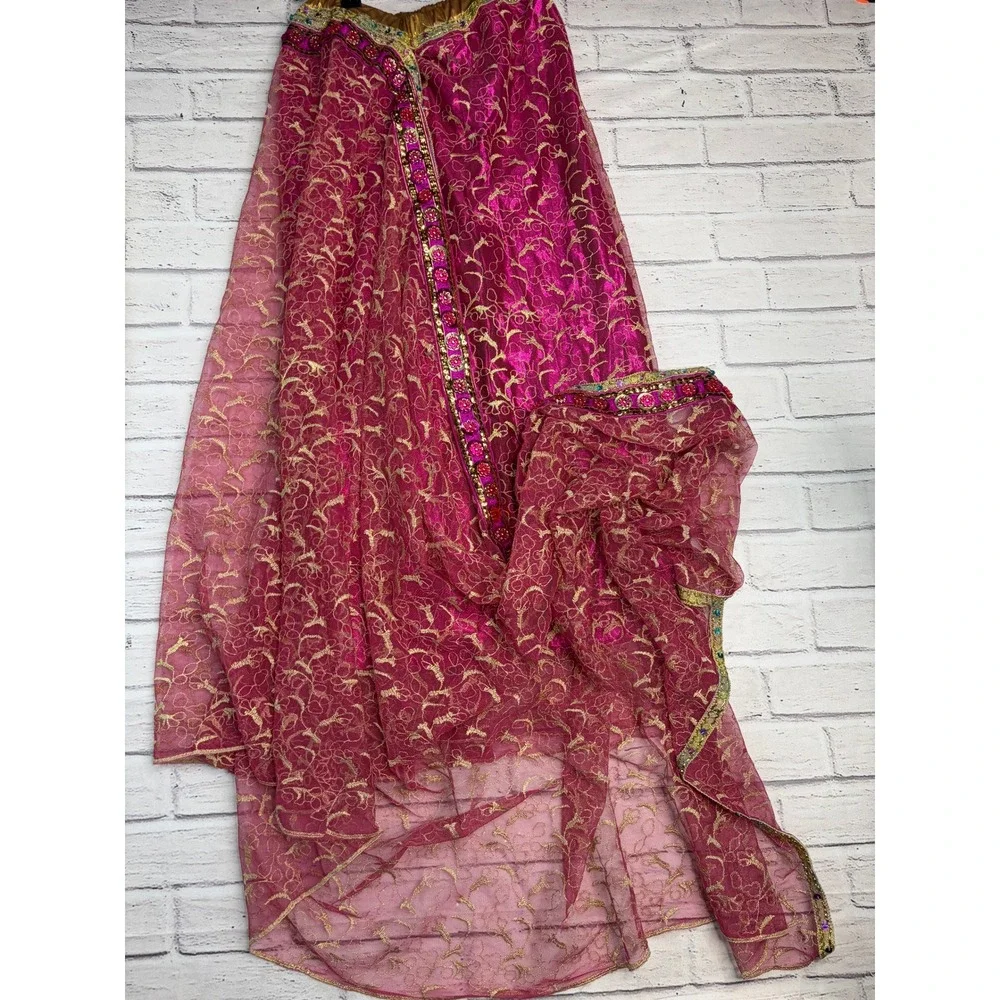 Chasing Fireflies Wishcraft Maharani Costume Girls 8 Pink Gold